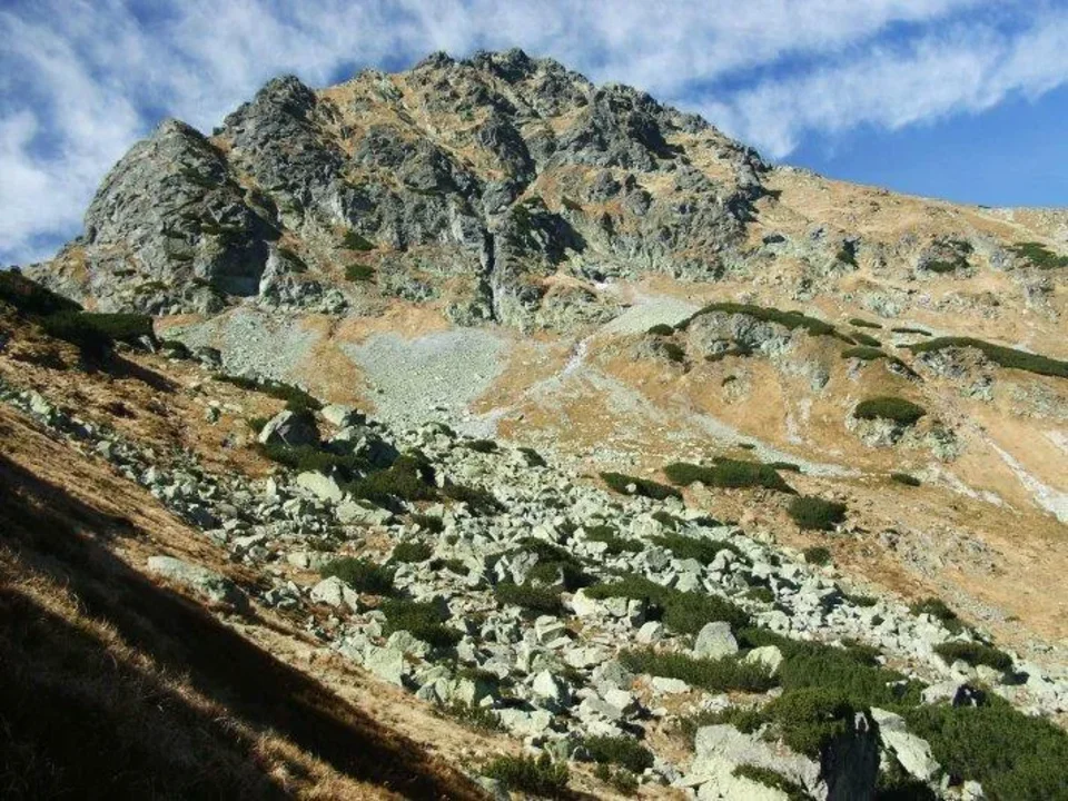 Hadanka - Zagadka
