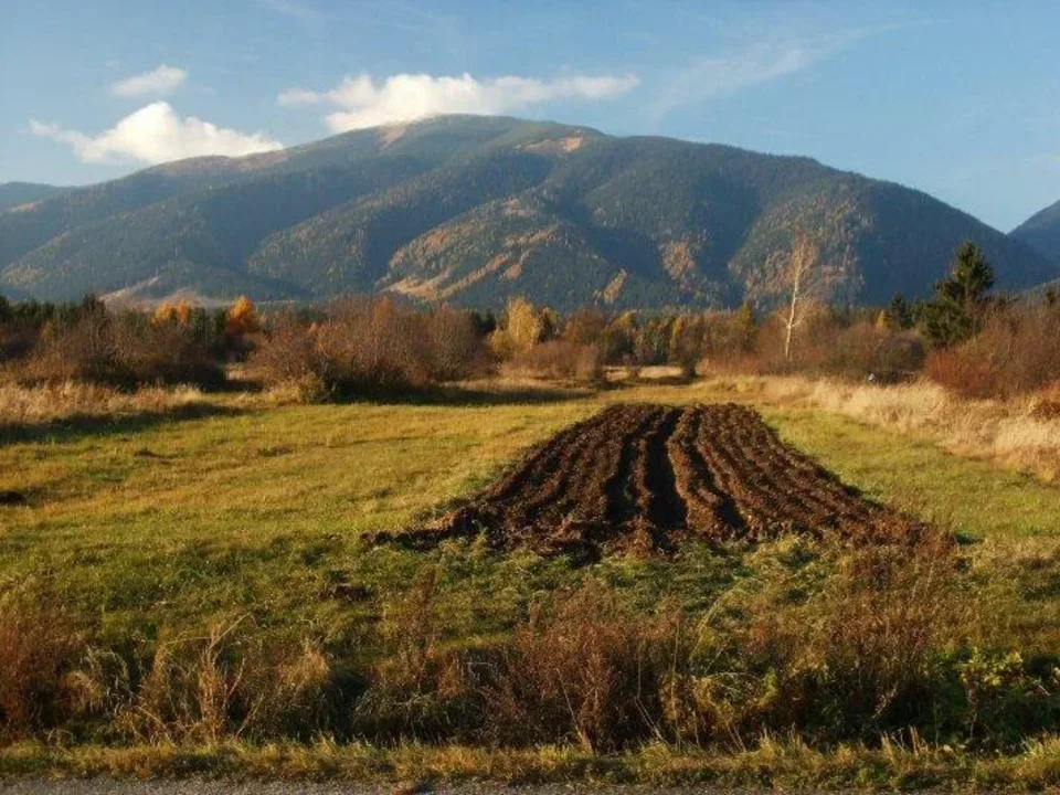 Baranec z Pribyliny