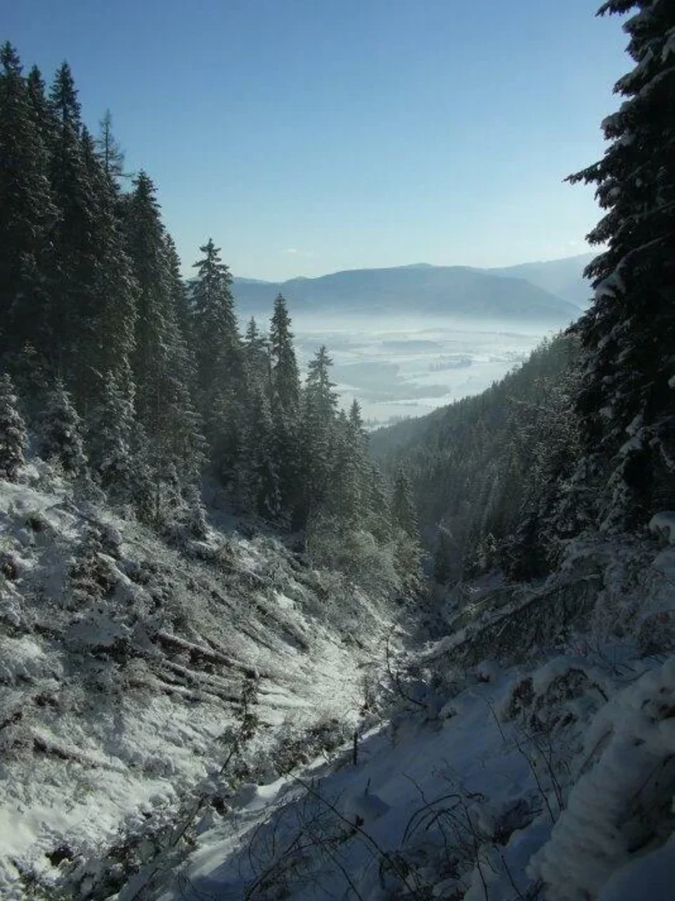 Lucivnik asi 1100 m