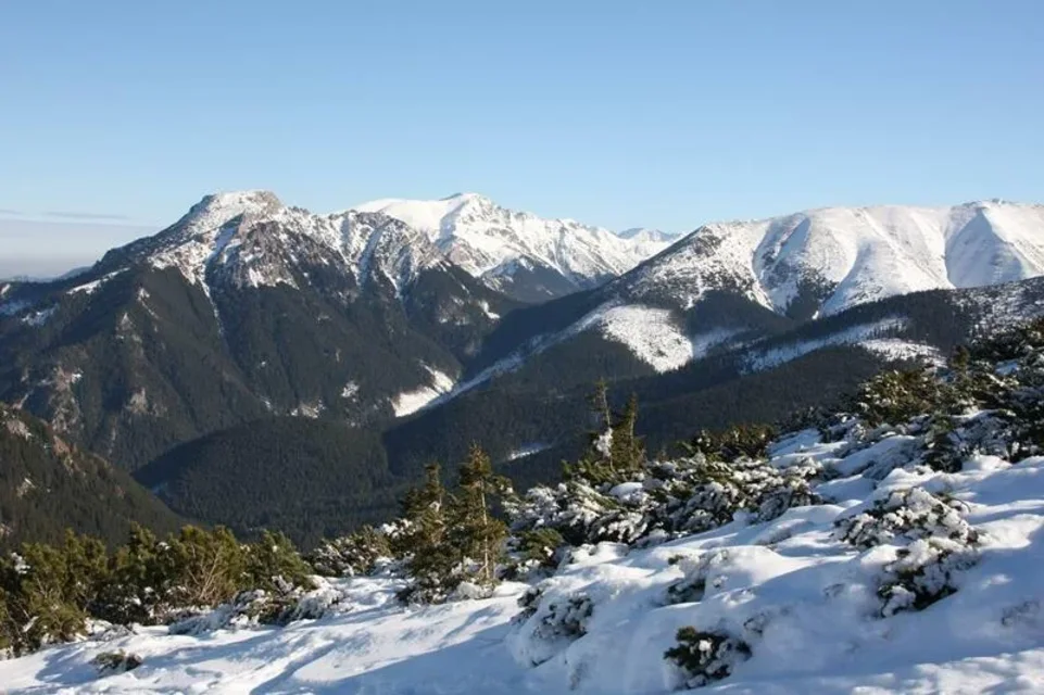 Widok z Grzesia VI