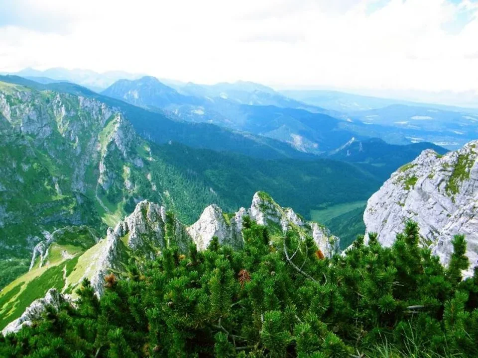 WIDOK NA TATRY ZACHODNIE Z SARNIEJ SKAŁY