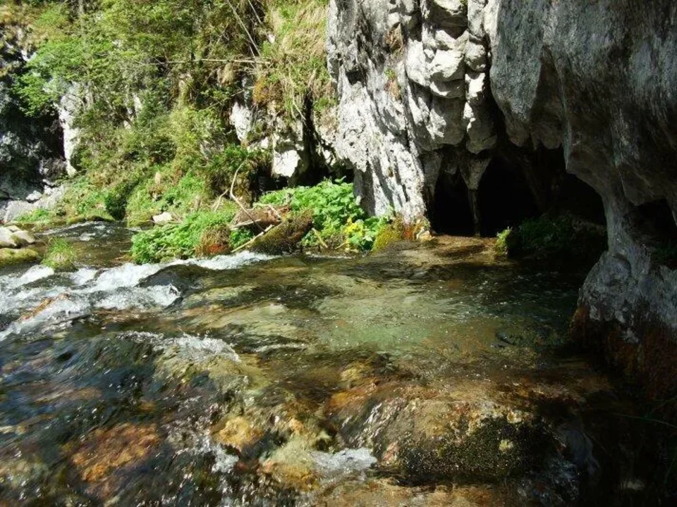Wywierzysko w Koscieliskiej Doline_Lodowe Zrodlo pod Posredniou Koscieliskou Bramou