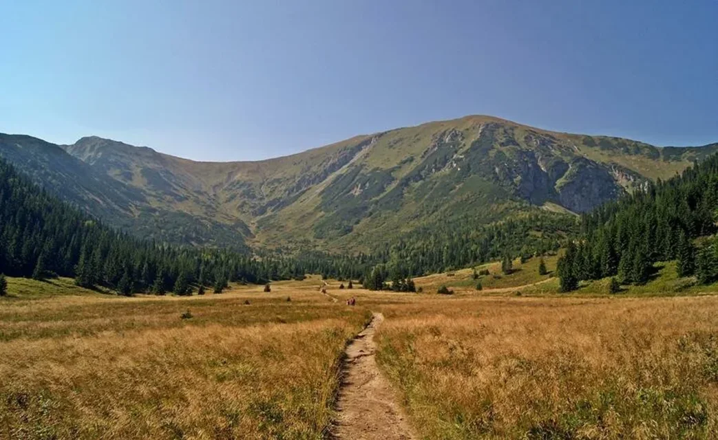Na Przełęcz pod kondracką kopą