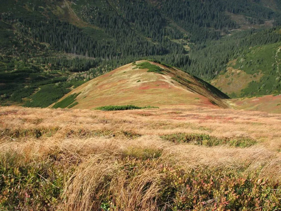 Przykra Kopa