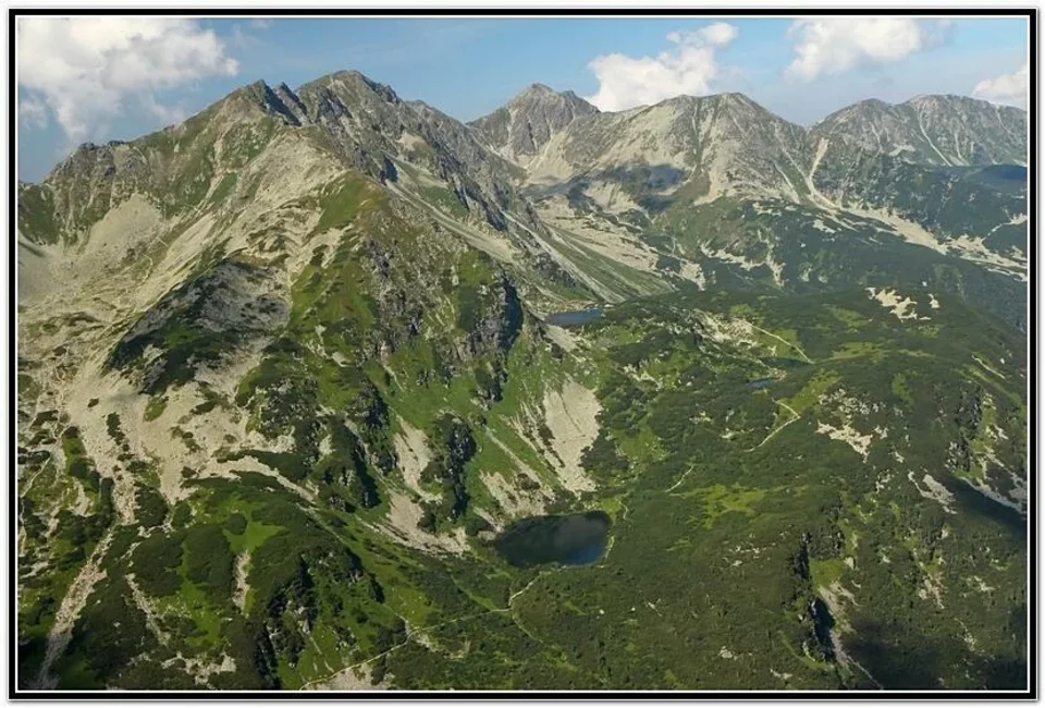 Rohacze
