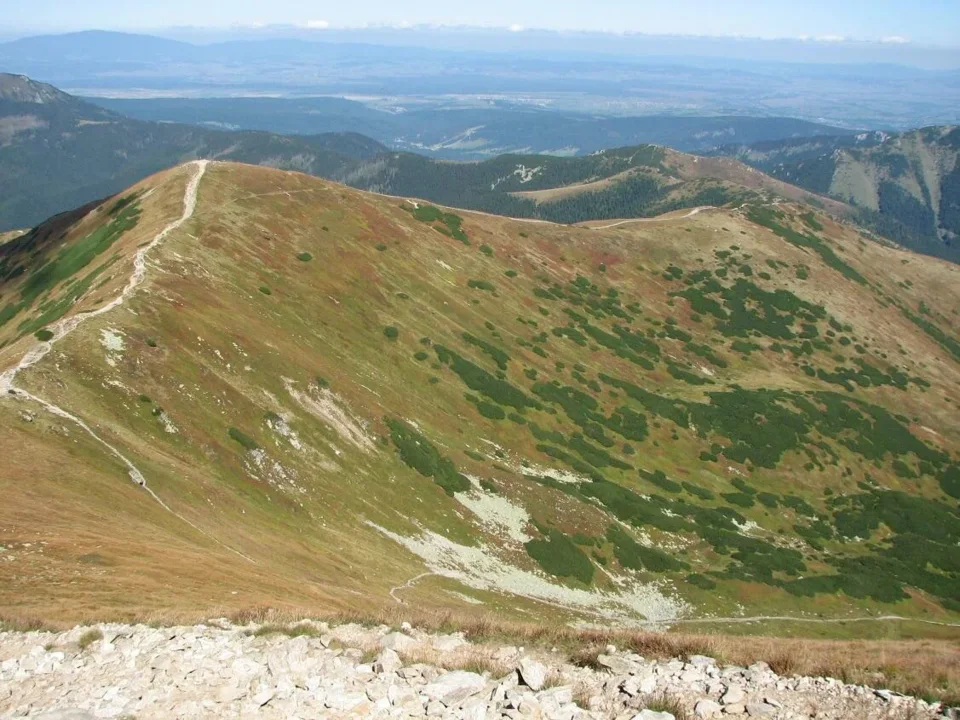 w kierunku Rakonia i Grzesia