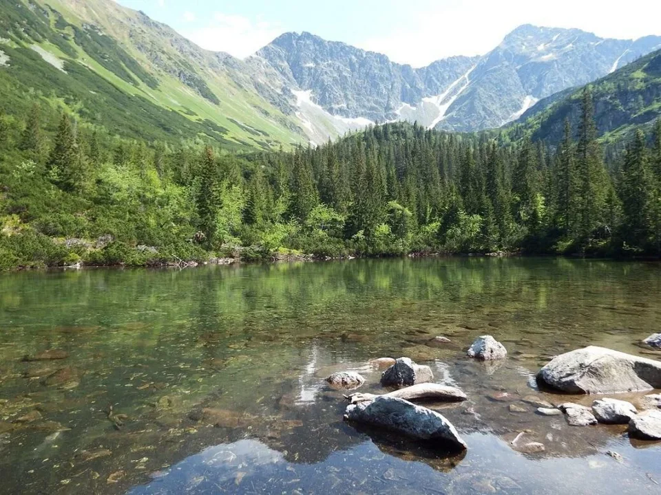 Rohacze
