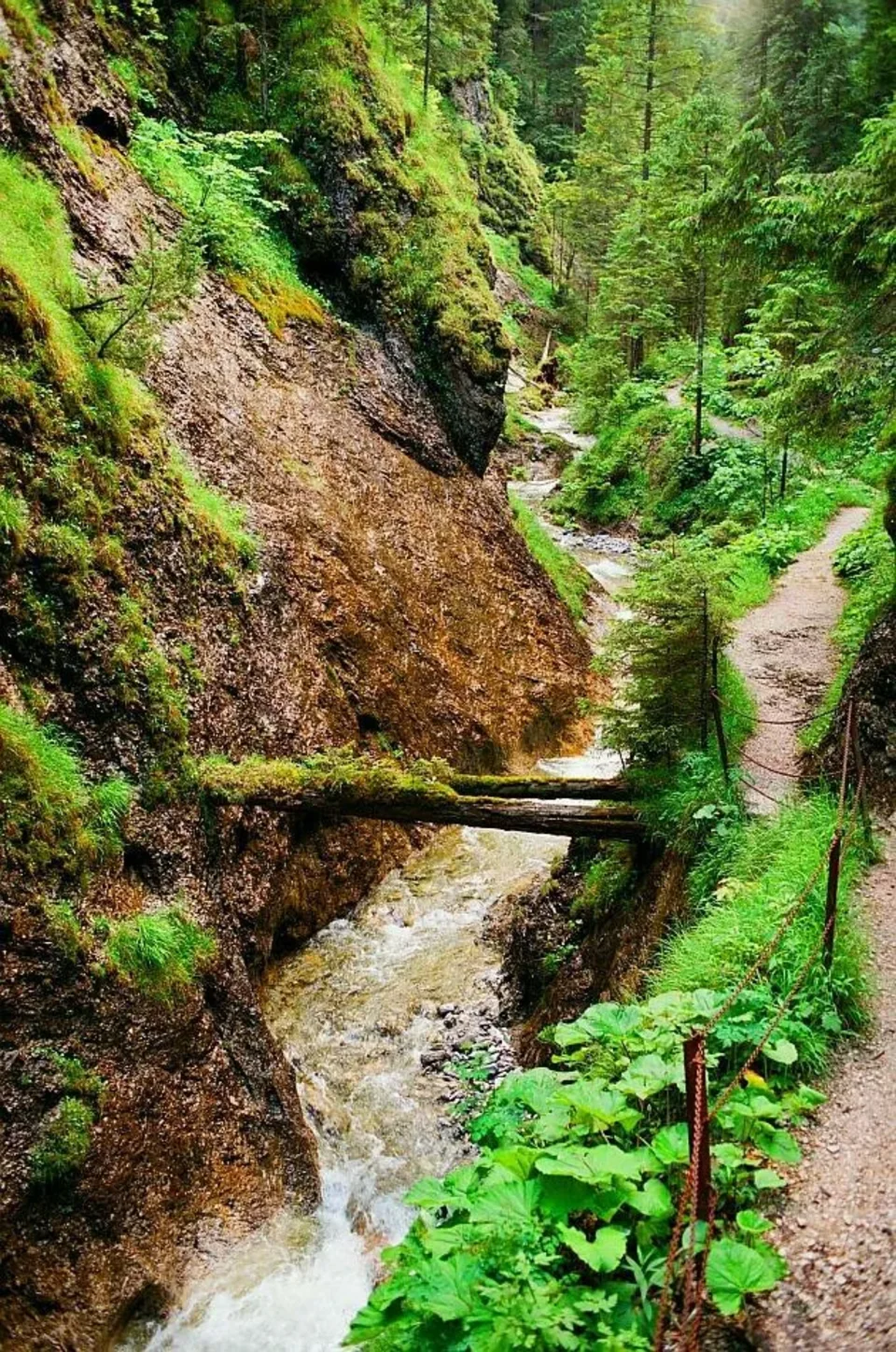Tatry Zachodnie. Dolina Juraniowa