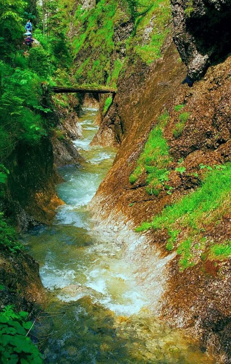 Tatry Zachodnie. W Dolinie Juraniowej