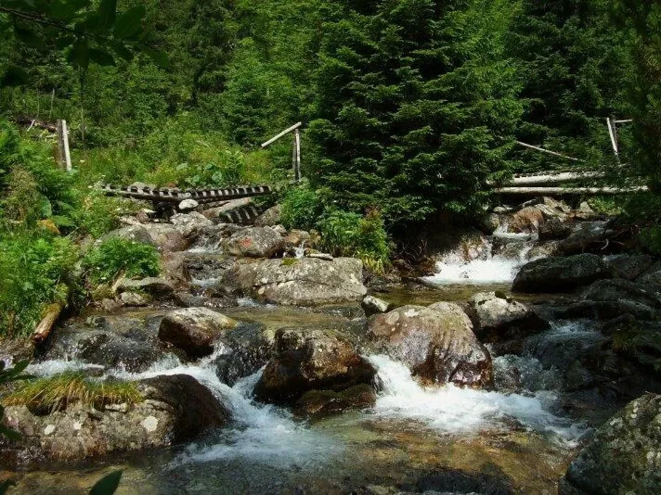 Potok zo Zahrad ustie do Jamnickeho potoka nad Kokavskou polanou