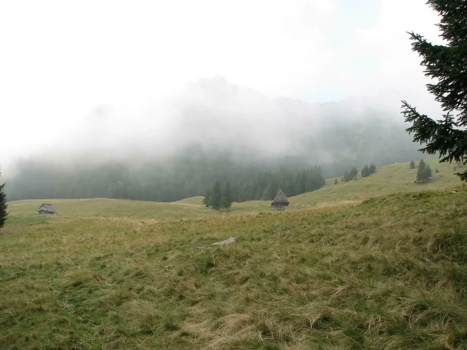 Polana kalatówki