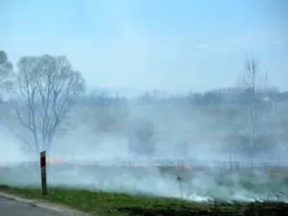 To niszczenie przyrody