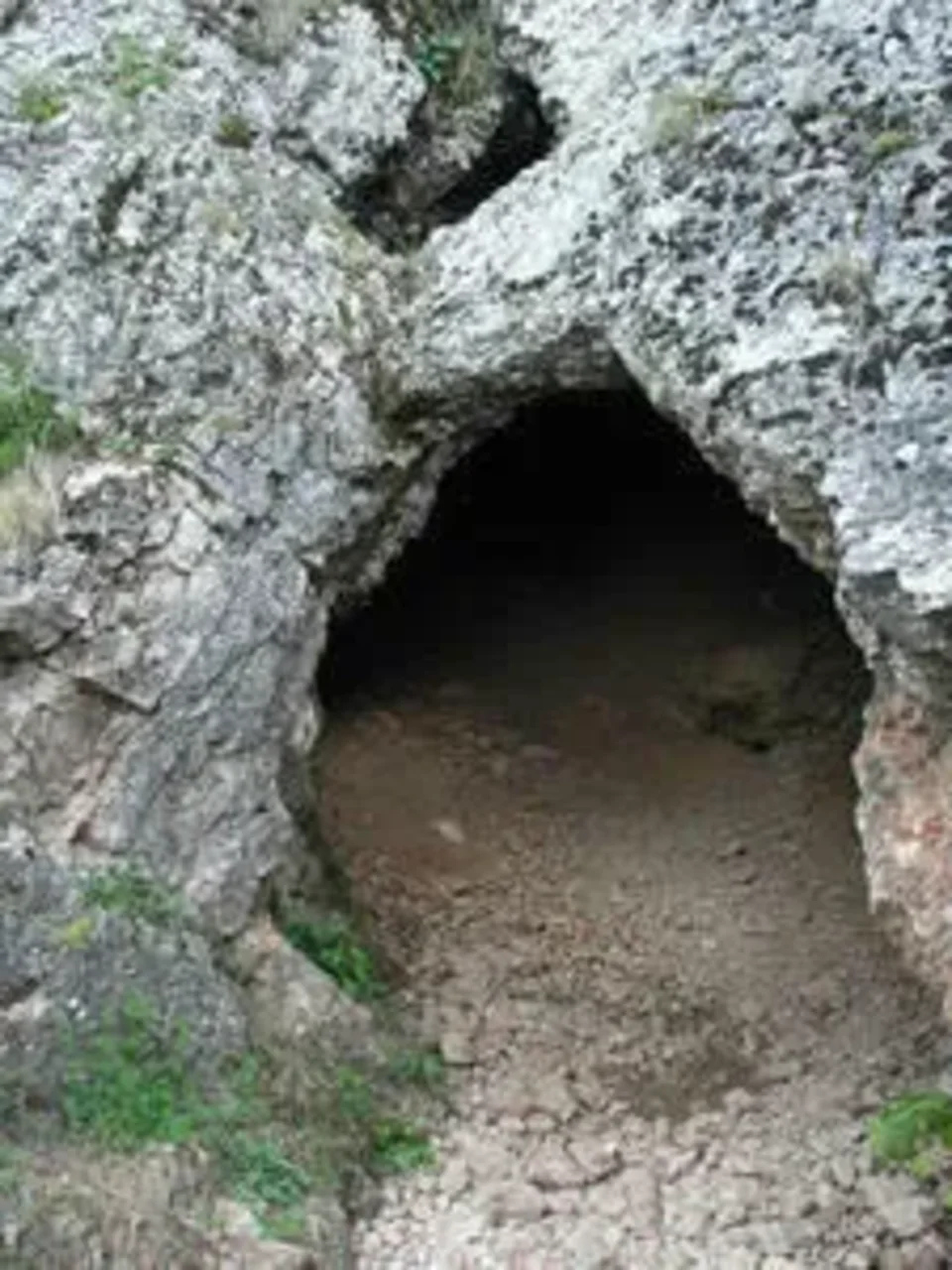Dokopać się do dna