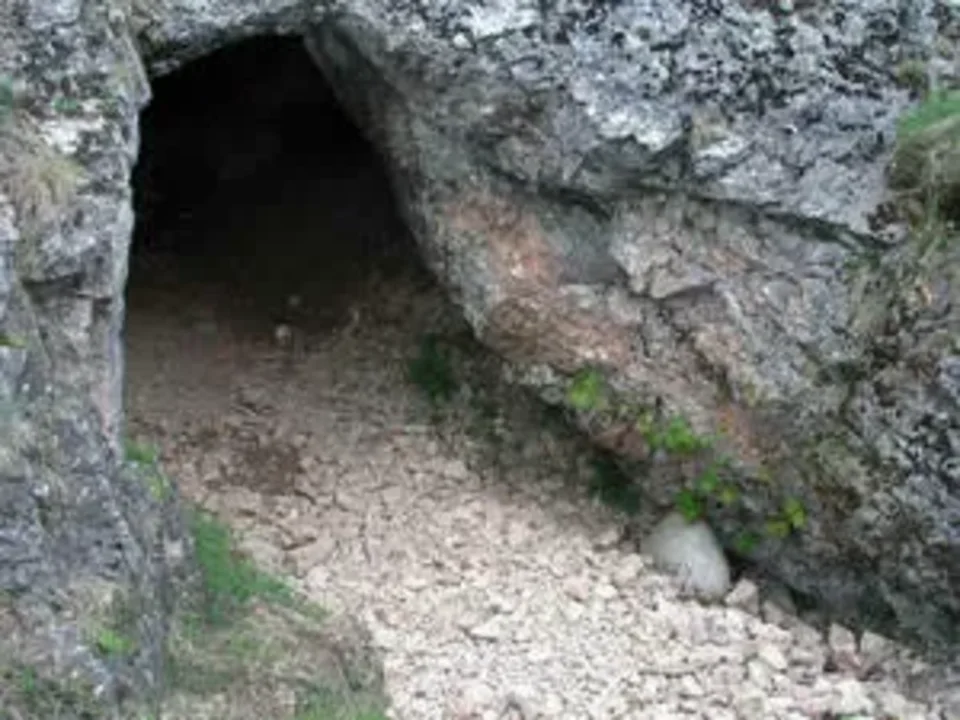 Powrót naukowców - dopiero za rok
