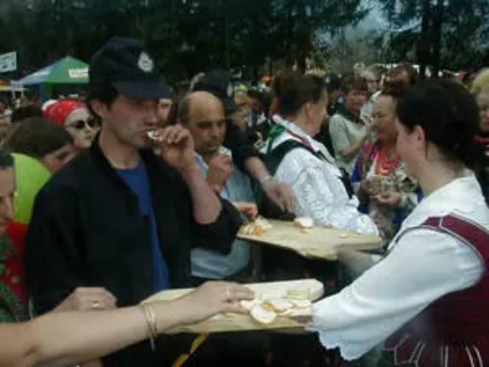 Sprzedaż bryndzy bez zmian