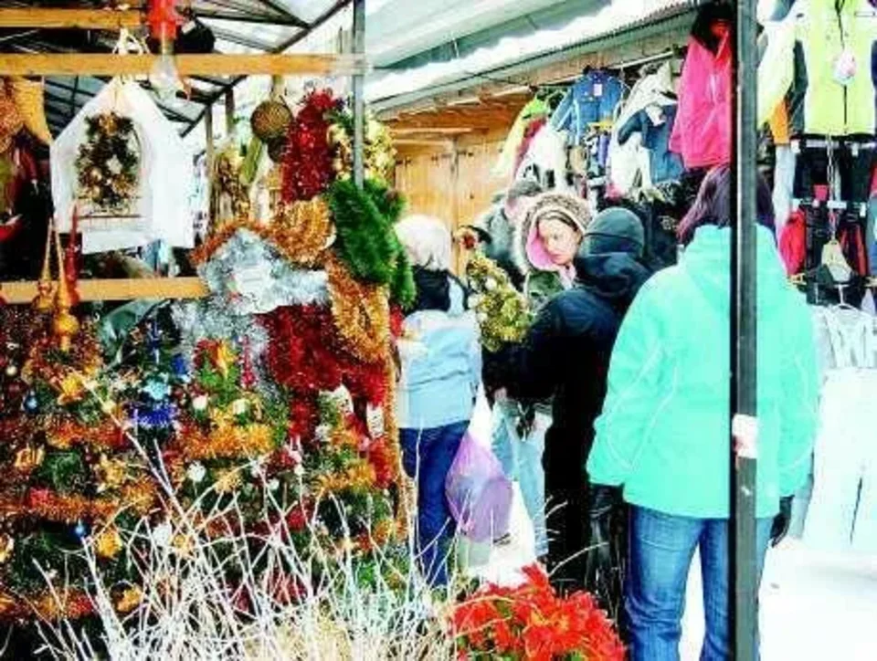 Żywa choinka wraca do łask