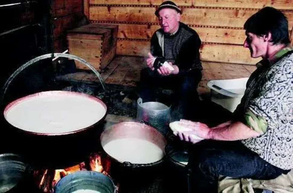 Wycieczka na bacówkę po owcze przysmaki