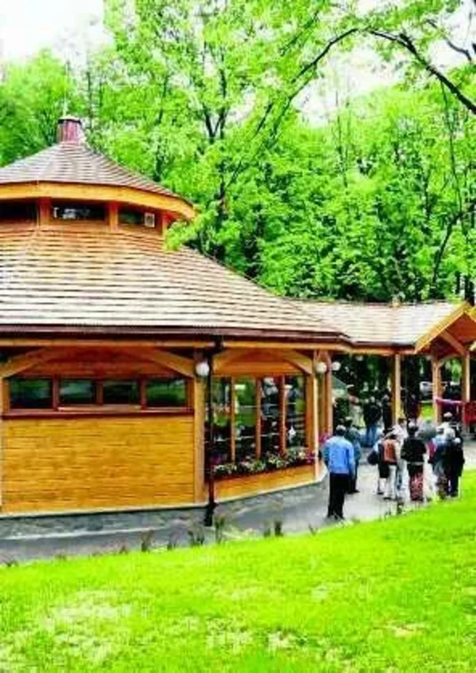 Solanka na zdrowie