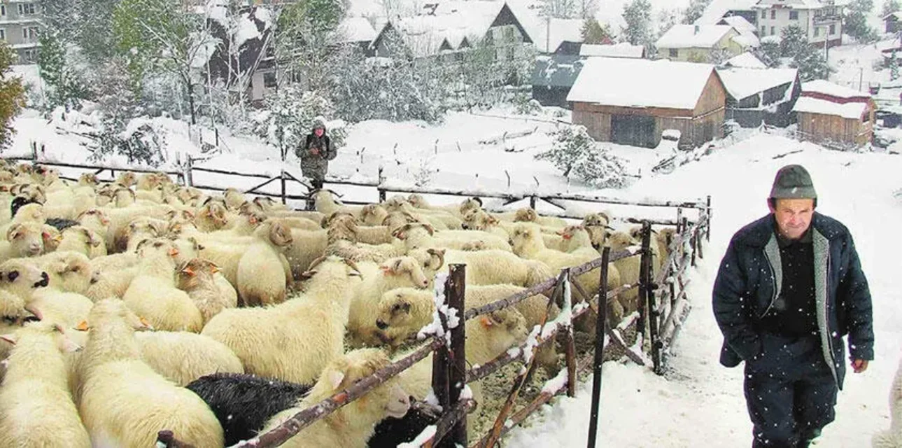 Zima nadal nie odpuszcza. Małopolska walczy ze śniegiem, deszczem i zimnem