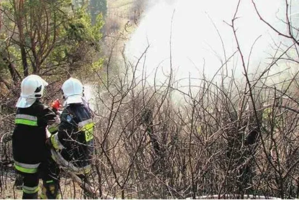 O włos od tragedii przez ludzką głupotę
