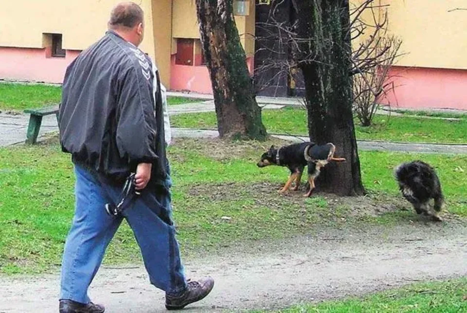 Na spacer z Azorem i z... woreczkiem
