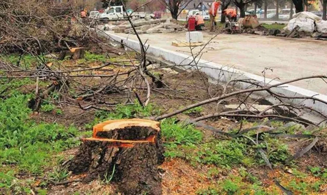 Zadbajmy o pisklęta