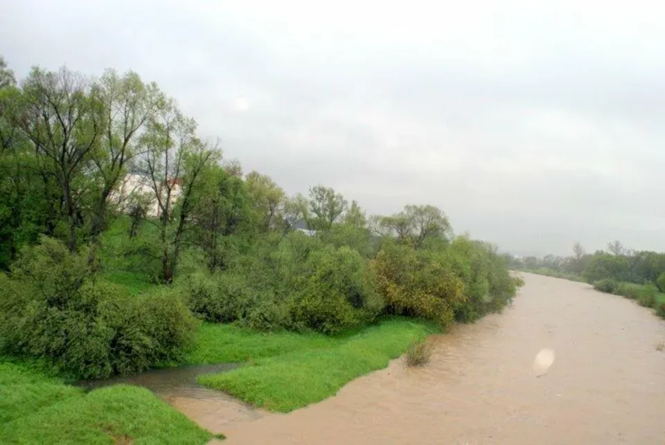 Nadzieja na lepsze jutro