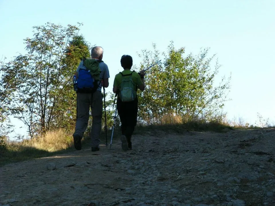 Nordic Walking w Nowym Targu