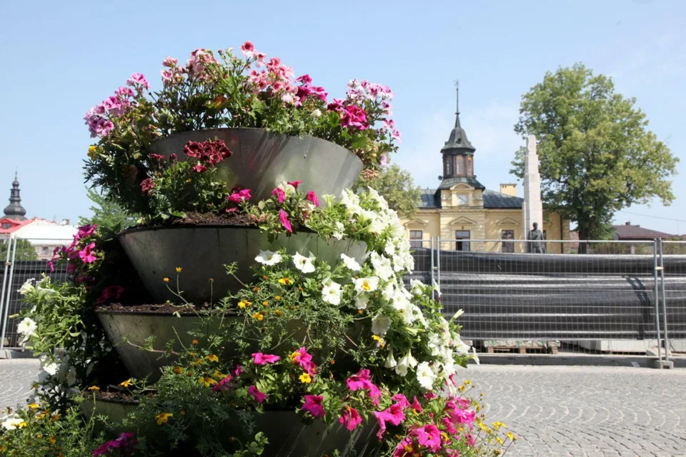 Miasto w kwiatach