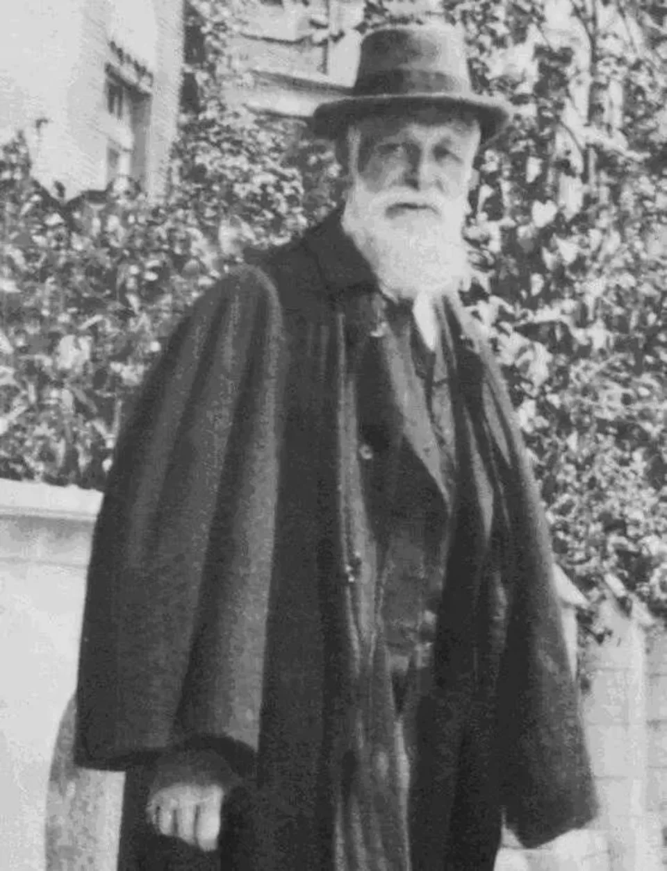 DZIWNY HRABIA