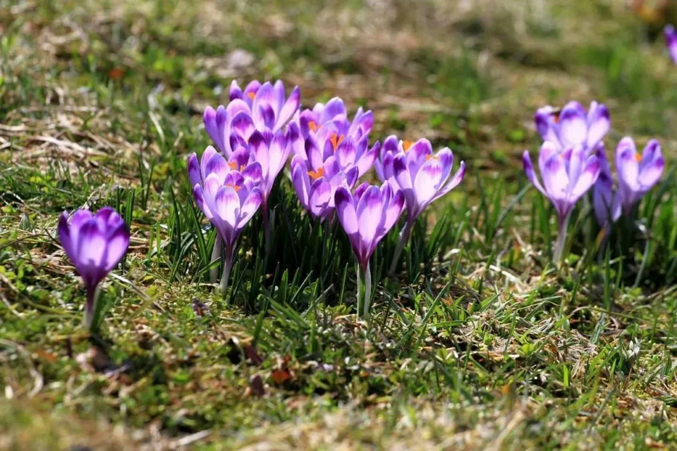 Dobre zapowiedzi na Święta Wielkiej Nocy pod Tatrami