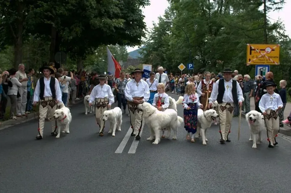 Inauguracja 47 MFFZG