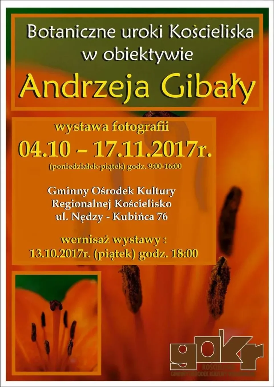 Botaniczne uroki Kościeliska w obiektywie Andrzeja Gibały
