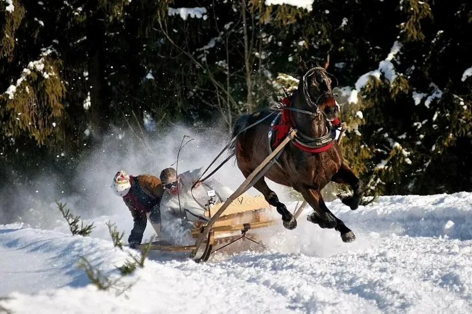 Parada Gazdowska 2019 na Polanie Lichajówki
