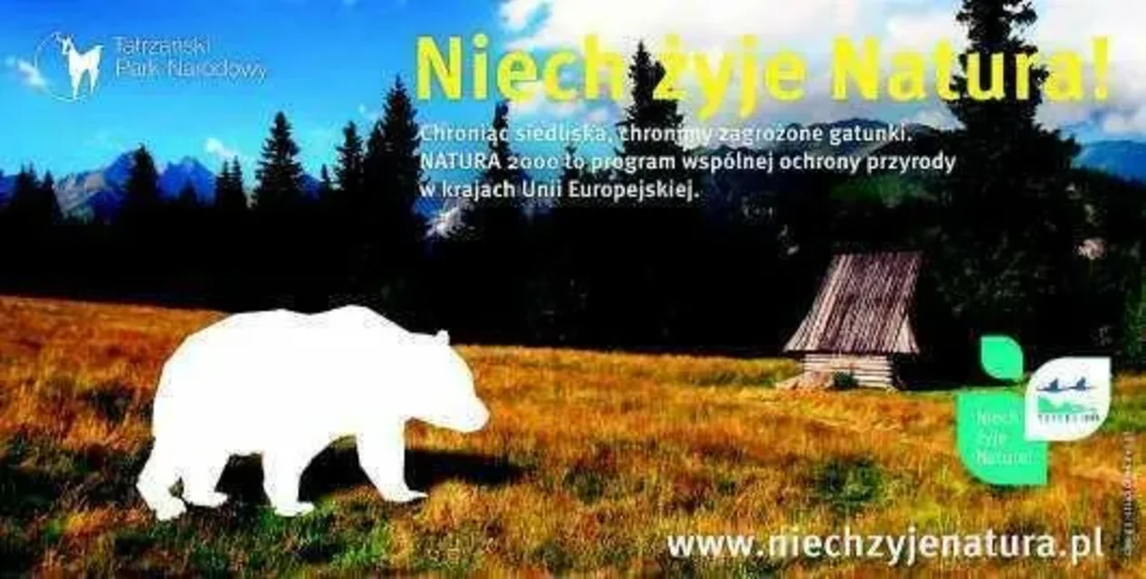 Biała plama zamiast... misia