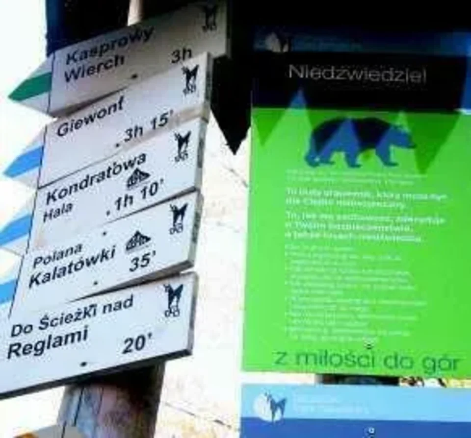 Niedźwiedzie schodzą niżej