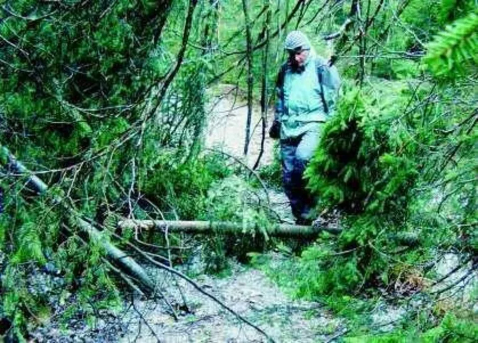 Szlak do Morskiego Oka od jutra otwarty. Wycieczki w góry jednak coraz trudniejsze