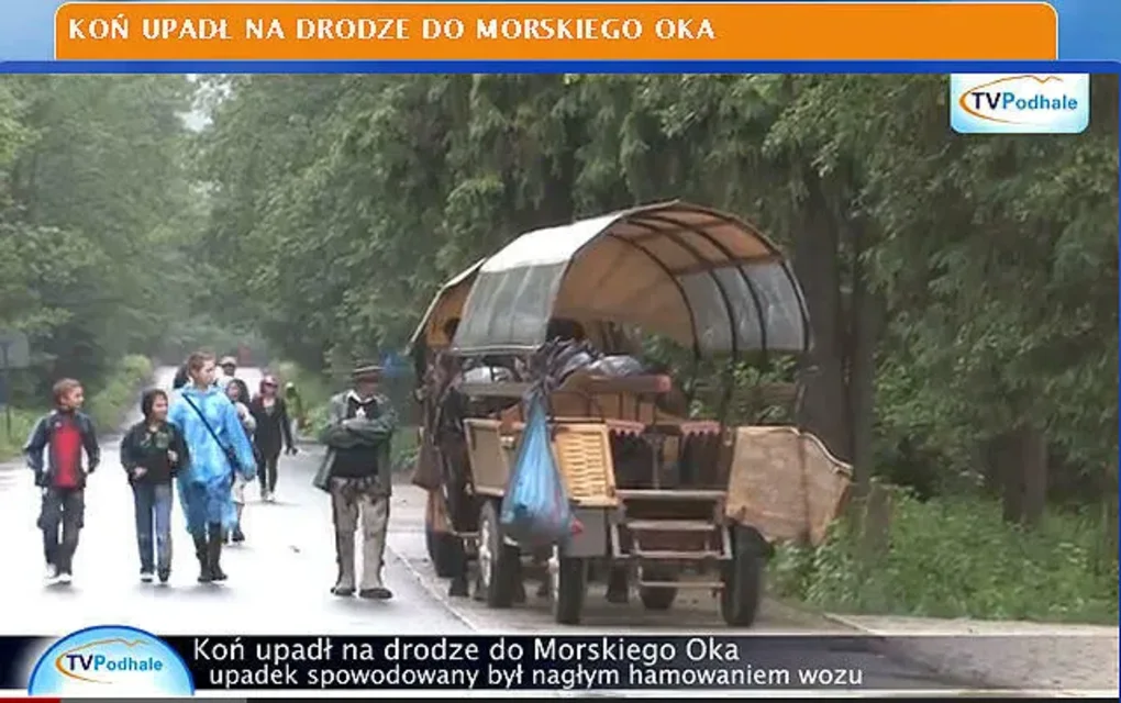 Koń upadł na drodze do Morskiego Oka