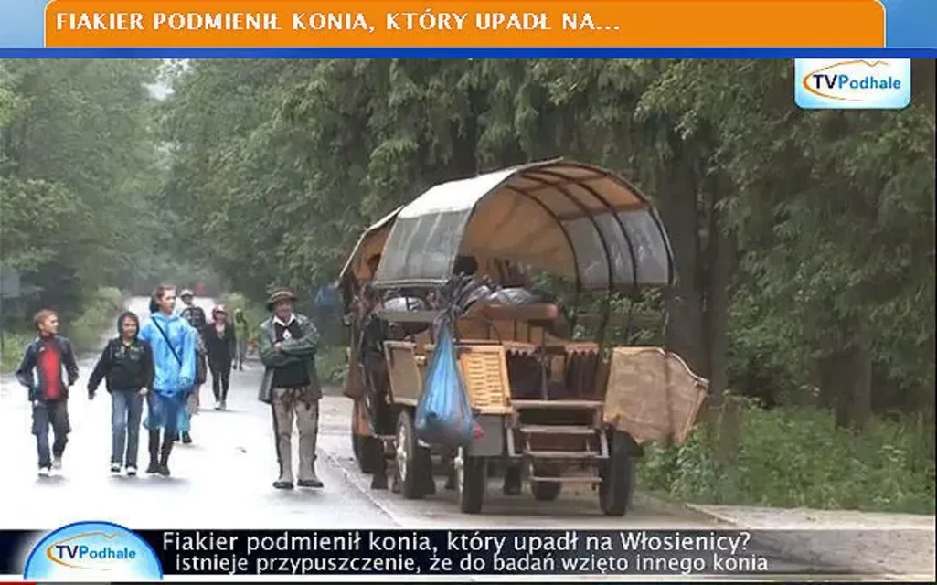 Fiakier podmienił konia, który upadł na Włosienicy?