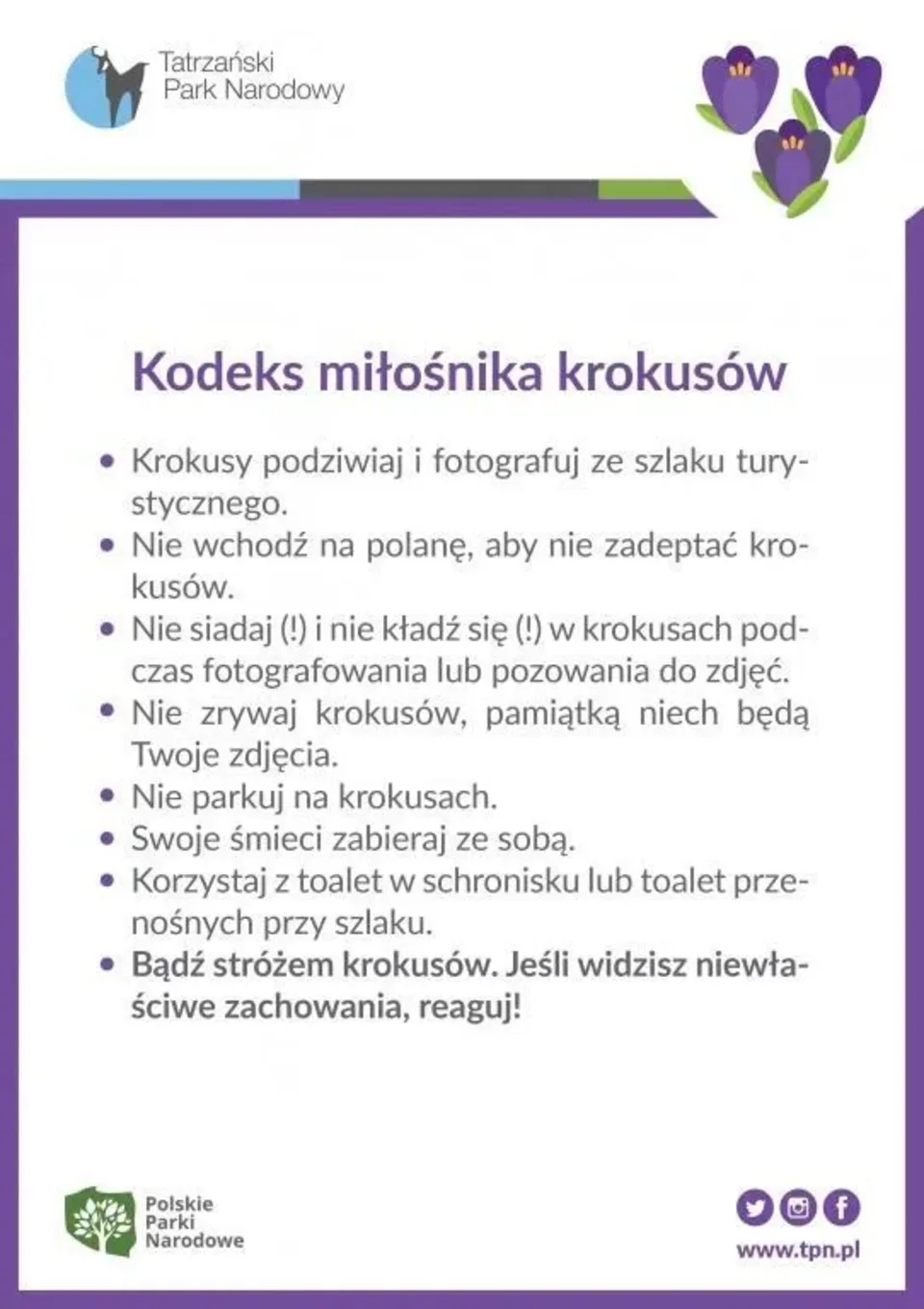 Bądź opiekunem krokusów