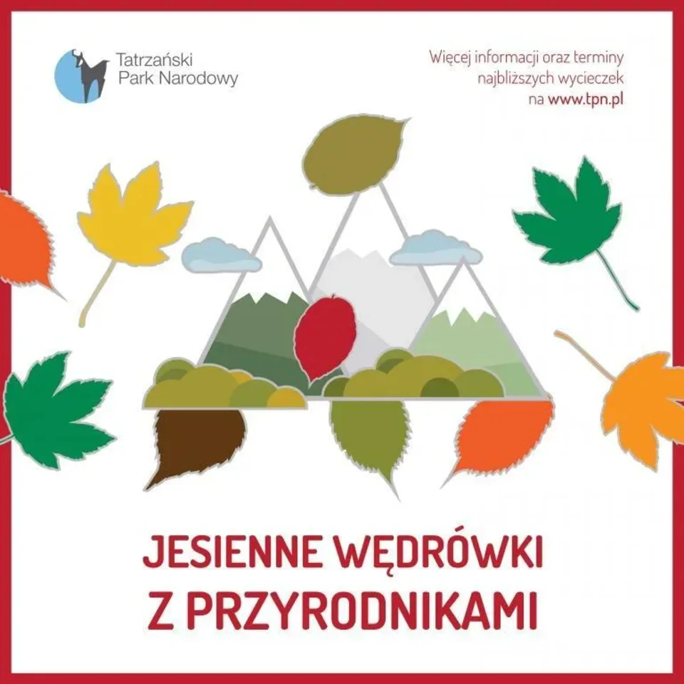 Jesienne wędrówki z przyrodnikami