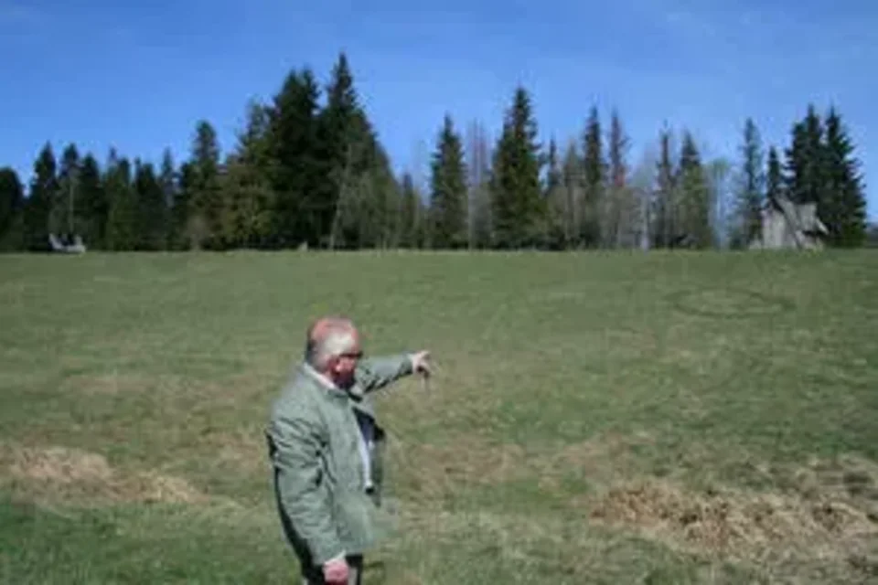 Zielone kręgi pod Reglami