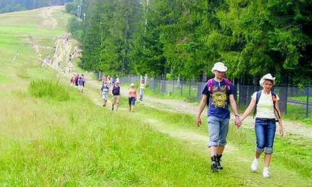 Bez nart i bez domów