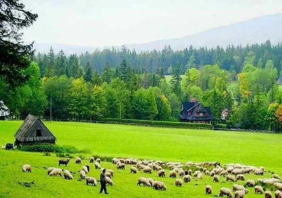 Obiecują, obiecują, a park dalej jest