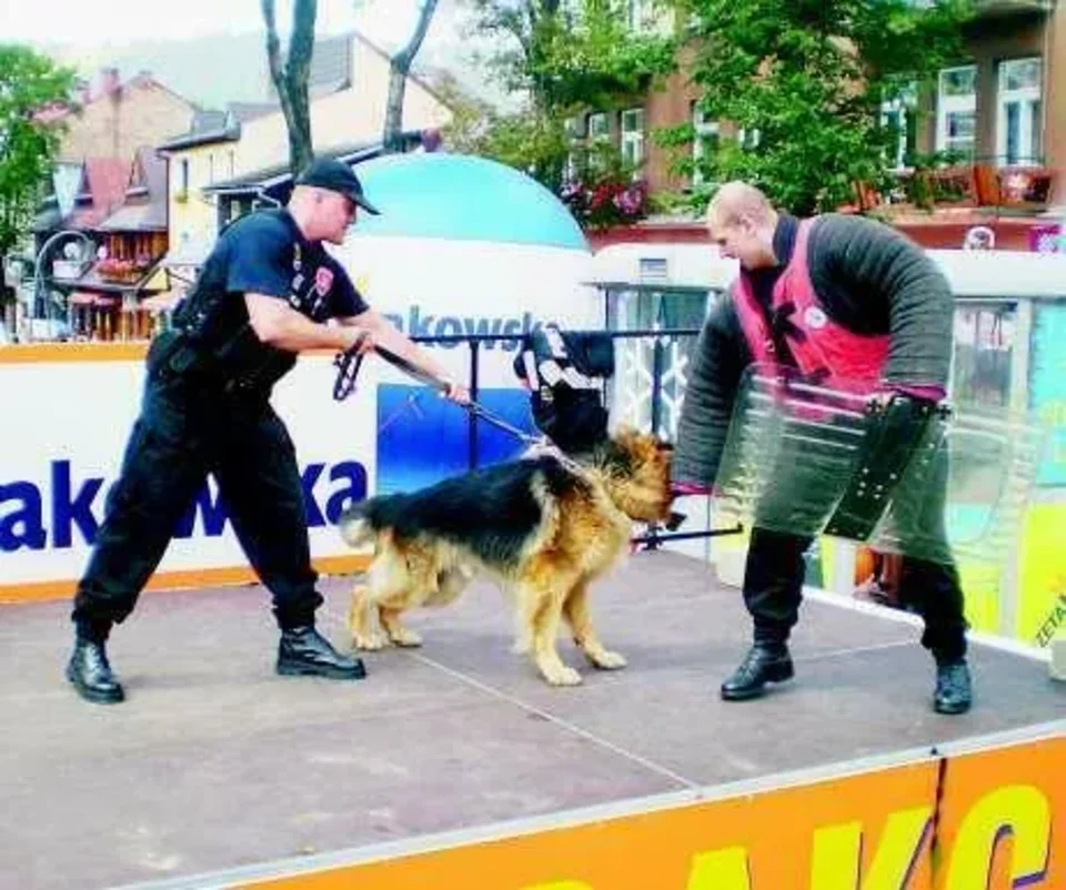 Pomóż i oddaj krew