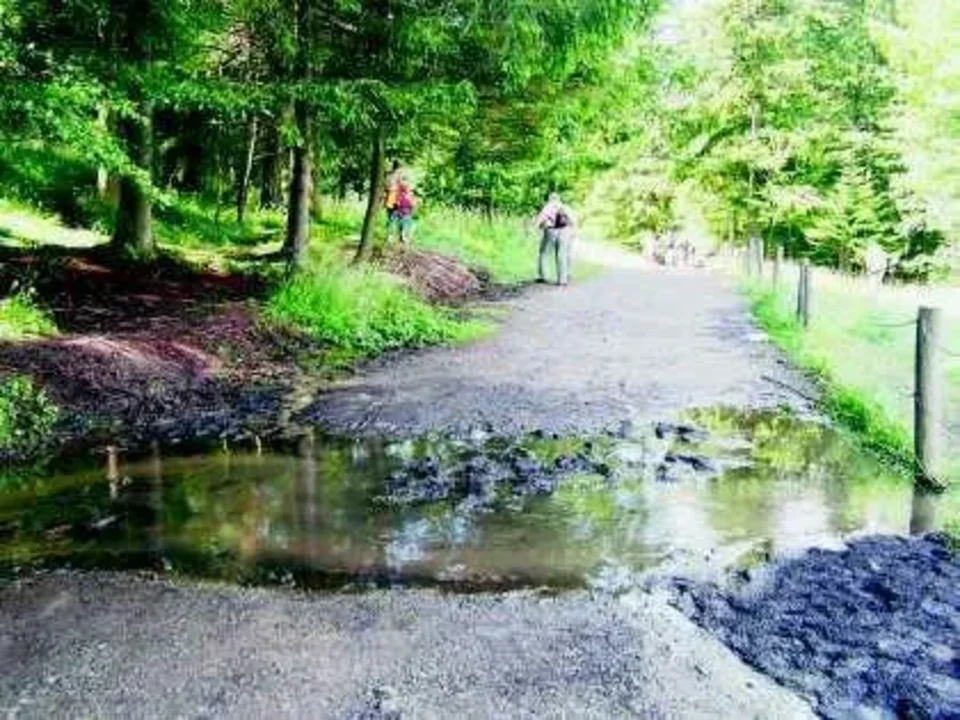 Szlak pod Reglami ładny, ale zaniedbany