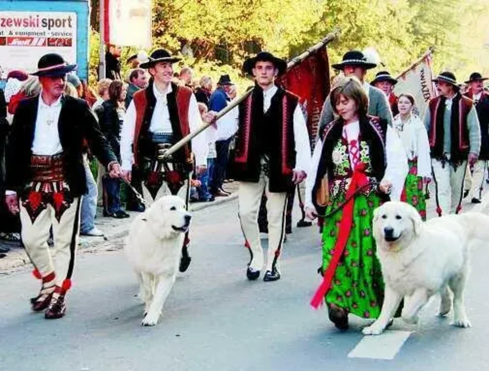 Zakopane świętowało wielkim korowodem