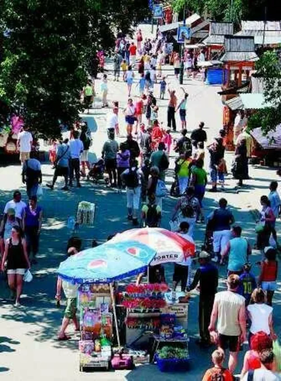 Cepry jednak wolą urlop w Zakopanem