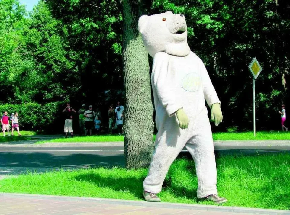Pijany miś na ulicach