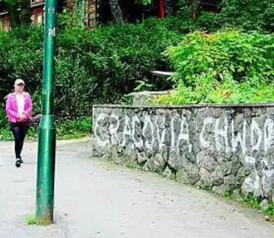 Pseudokibice pod Tatrami